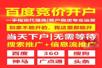 成功案例解读：SEM推广代运营策略