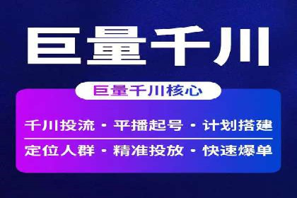 竞价广告的投放策略：XX企业成功案例解析